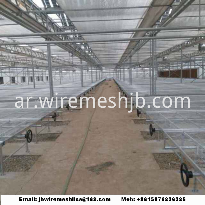 Galvanized Welded Wire Mesh Greenhouse Rolling Benches